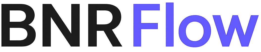 BNR Flow Logo